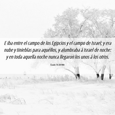 Picture 06 - Éxodo 14:20 RVA - E iba entre el campo de los Egipcios y el campo - Bible Verse Picture