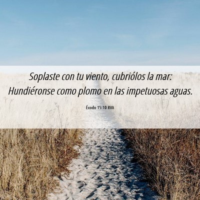 Picture 06 - Éxodo 15:10 RVA - Soplaste con tu viento, cubriólos la mar: - Bible Verse Picture