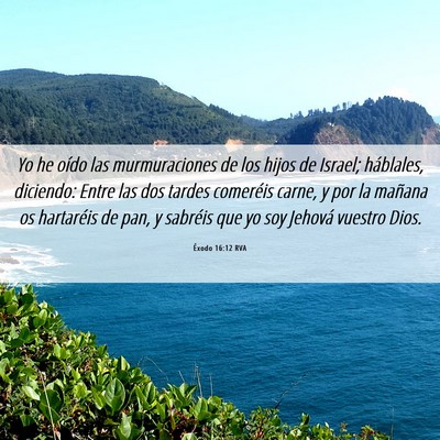 Picture 06 - Éxodo 16:12 RVA - Yo he oído las murmuraciones de los hijos de - Bible Verse Picture