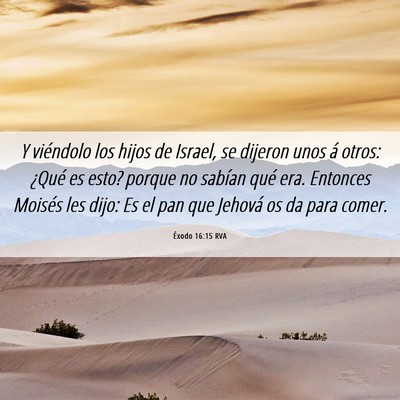 Picture 06 - Éxodo 16:15 RVA - Y viéndolo los hijos de Israel, se dijeron unos - Bible Verse Picture