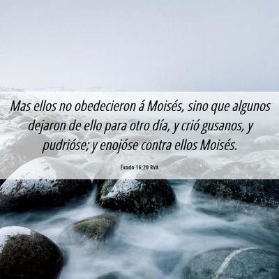 Picture 06 - Éxodo 16:20 RVA - Mas ellos no obedecieron á Moisés, sino que - Bible Verse Picture