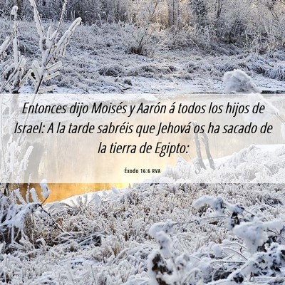 Picture 06 - Éxodo 16:6 RVA - Entonces dijo Moisés y Aarón á todos los hijos - Bible Verse Picture