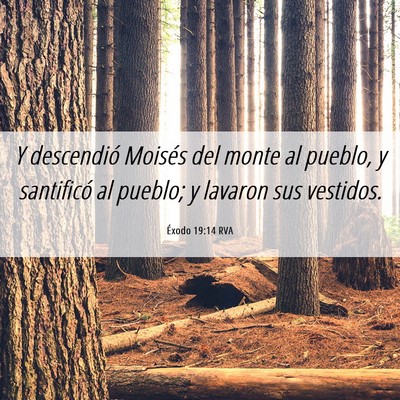 Picture 06 - Éxodo 19:14 RVA - Y descendió Moisés del monte al pueblo, y - Bible Verse Picture