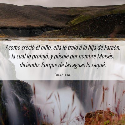 Picture 06 - Éxodo 2:10 RVA - Y como creció el niño, ella lo trajo á la hija - Bible Verse Picture