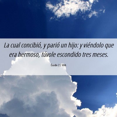 Picture 06 - Éxodo 2:2 RVA - La cual concibió, y parió un hijo: y viéndolo - Bible Verse Picture