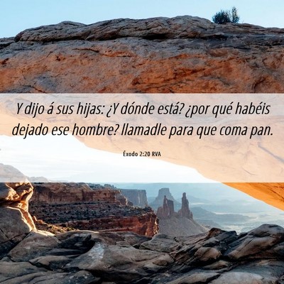 Picture 06 - Éxodo 2:20 RVA - Y dijo á sus hijas: ¿Y dónde está? ¿por qué - Bible Verse Picture