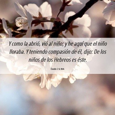 Picture 06 - Éxodo 2:6 RVA - Y como la abrió, vió al niño; y he aquí que - Bible Verse Picture