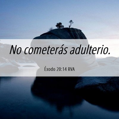 Picture 06 - Éxodo 20:14 RVA - No cometerás - Bible Verse Picture