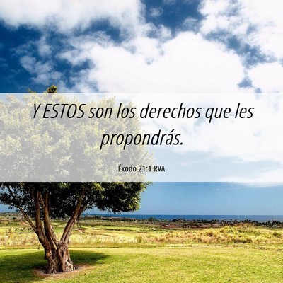 Picture 06 - Éxodo 21:1 RVA - Y ESTOS son los derechos que les - Bible Verse Picture