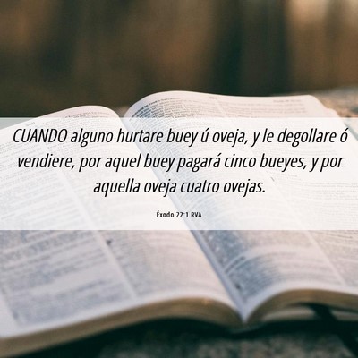 Picture 06 - Éxodo 22:1 RVA - CUANDO alguno hurtare buey ú oveja, y le - Bible Verse Picture