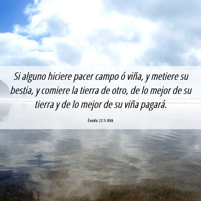 Picture 06 - Éxodo 22:5 RVA - Si alguno hiciere pacer campo ó viña, y metiere - Bible Verse Picture