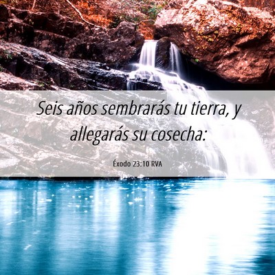 Picture 06 - Éxodo 23:10 RVA - Seis años sembrarás tu tierra, y allegarás su - Bible Verse Picture