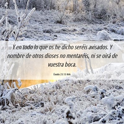 Picture 06 - Éxodo 23:13 RVA - Y en todo lo que os he dicho seréis avisados. Y - Bible Verse Picture