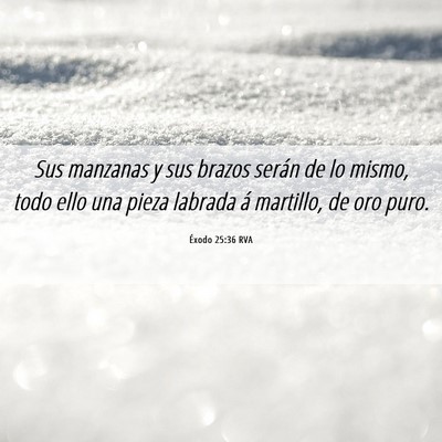 Picture 06 - Éxodo 25:36 RVA - Sus manzanas y sus brazos serán de lo mismo, - Bible Verse Picture