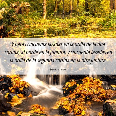 Picture 06 - Éxodo 26:10 RVA - Y harás cincuenta lazadas en la orilla de la una - Bible Verse Picture