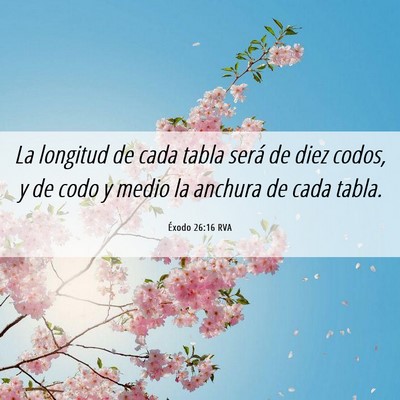 Picture 06 - Éxodo 26:16 RVA - La longitud de cada tabla será de diez codos, y - Bible Verse Picture