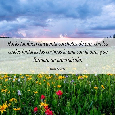 Picture 06 - Éxodo 26:6 RVA - Harás también cincuenta corchetes de oro, con - Bible Verse Picture