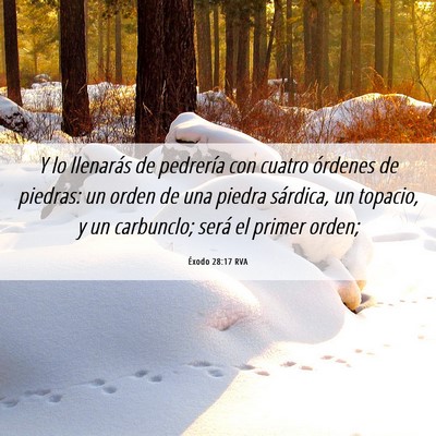 Picture 06 - Éxodo 28:17 RVA - Y lo llenarás de pedrería con cuatro órdenes - Bible Verse Picture