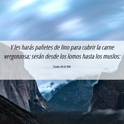 Picture 06 - Éxodo 28:42 RVA - Y les harás pañetes de lino para cubrir la - Bible Verse Picture