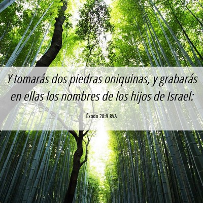 Picture 06 - Éxodo 28:9 RVA - Y tomarás dos piedras oniquinas, y grabarás en - Bible Verse Picture