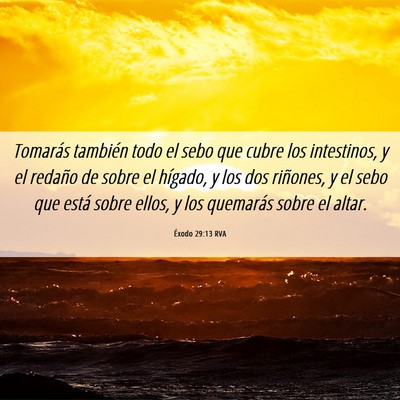 Picture 06 - Éxodo 29:13 RVA - Tomarás también todo el sebo que cubre los - Bible Verse Picture