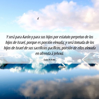 Picture 06 - Éxodo 29:28 RVA - Y será para Aarón y para sus hijos por estatuto - Bible Verse Picture
