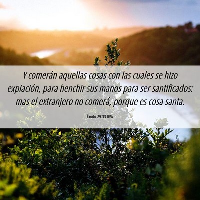 Picture 06 - Éxodo 29:33 RVA - Y comerán aquellas cosas con las cuales se hizo - Bible Verse Picture