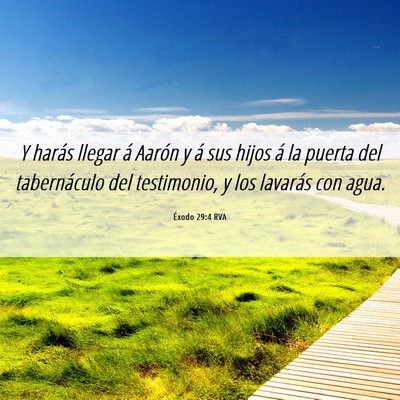 Picture 06 - Éxodo 29:4 RVA - Y harás llegar á Aarón y á sus hijos á la - Bible Verse Picture