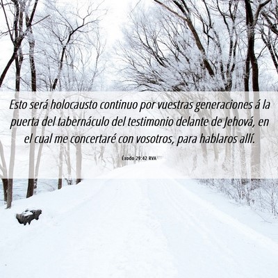 Picture 06 - Éxodo 29:42 RVA - Esto será holocausto continuo por vuestras - Bible Verse Picture