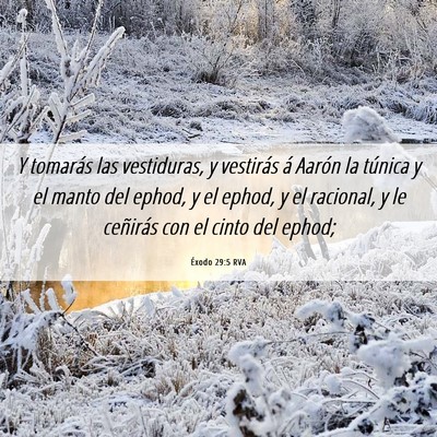 Picture 06 - Éxodo 29:5 RVA - Y tomarás las vestiduras, y vestirás á Aarón - Bible Verse Picture