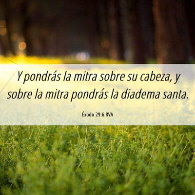 Picture 06 - Éxodo 29:6 RVA - Y pondrás la mitra sobre su cabeza, y sobre la - Bible Verse Picture