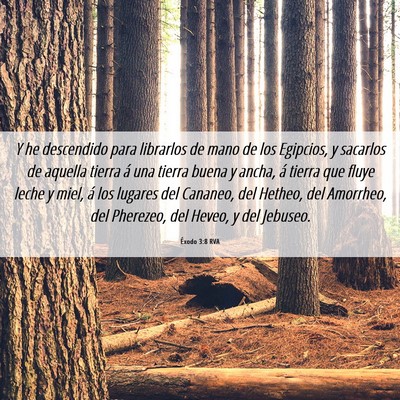 Picture 06 - Éxodo 3:8 RVA - Y he descendido para librarlos de mano de los - Bible Verse Picture