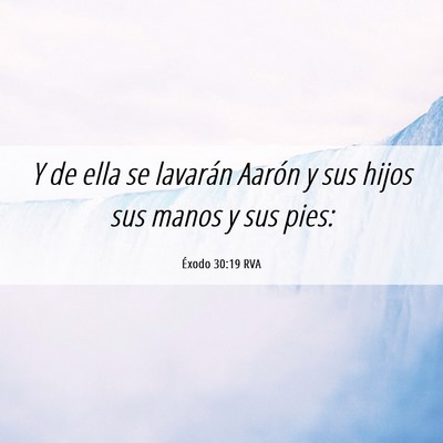 Picture 06 - Éxodo 30:19 RVA - Y de ella se lavarán Aarón y sus hijos sus - Bible Verse Picture