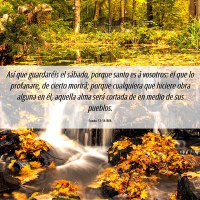 Picture 06 - Éxodo 31:14 RVA - Así que guardaréis el sábado, porque santo es - Bible Verse Picture