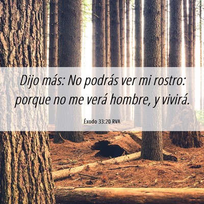 Picture 06 - Éxodo 33:20 RVA - Dijo más: No podrás ver mi rostro: porque no me - Bible Verse Picture