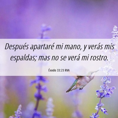 Picture 06 - Éxodo 33:23 RVA - Después apartaré mi mano, y verás mis - Bible Verse Picture