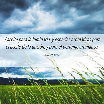 Picture 06 - Éxodo 35:8 RVA - Y aceite para la luminaria, y especias - Bible Verse Picture