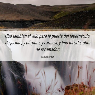 Picture 06 - Éxodo 36:37 RVA - Hizo también el velo para la puerta del - Bible Verse Picture