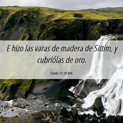 Picture 06 - Éxodo 37:28 RVA - E hizo las varas de madera de Sittim, y - Bible Verse Picture