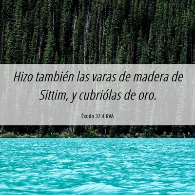 Picture 06 - Éxodo 37:4 RVA - Hizo también las varas de madera de Sittim, y - Bible Verse Picture