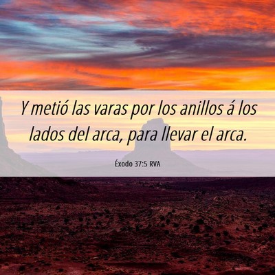 Picture 06 - Éxodo 37:5 RVA - Y metió las varas por los anillos á los lados - Bible Verse Picture