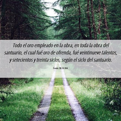 Picture 06 - Éxodo 38:24 RVA - Todo el oro empleado en la obra, en toda la obra - Bible Verse Picture