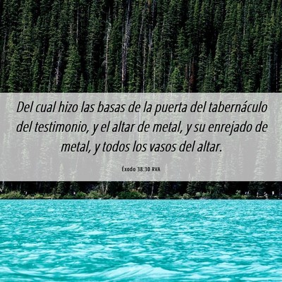 Picture 06 - Éxodo 38:30 RVA - Del cual hizo las basas de la puerta del - Bible Verse Picture