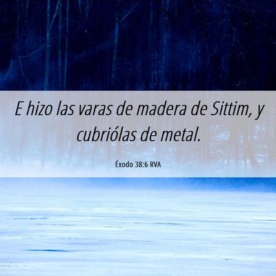 Picture 06 - Éxodo 38:6 RVA - E hizo las varas de madera de Sittim, y - Bible Verse Picture