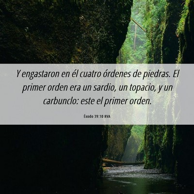 Picture 06 - Éxodo 39:10 RVA - Y engastaron en él cuatro órdenes de piedras. - Bible Verse Picture