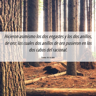 Picture 06 - Éxodo 39:16 RVA - Hicieron asimismo los dos engastes y los dos - Bible Verse Picture