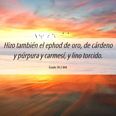 Picture 06 - Éxodo 39:2 RVA - Hizo también el ephod de oro, de cárdeno y - Bible Verse Picture