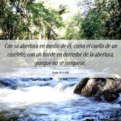 Picture 06 - Éxodo 39:23 RVA - Con su abertura en medio de él, como el cuello - Bible Verse Picture