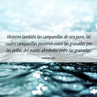 Picture 06 - Éxodo 39:25 RVA - Hicieron también las campanillas de oro puro, - Bible Verse Picture