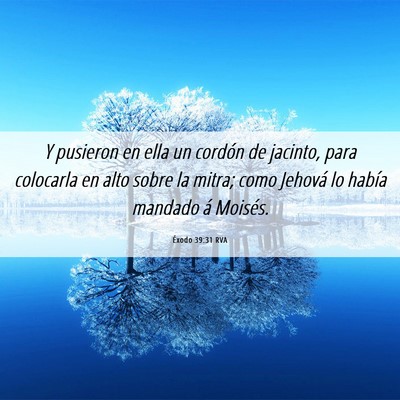 Picture 06 - Éxodo 39:31 RVA - Y pusieron en ella un cordón de jacinto, para - Bible Verse Picture